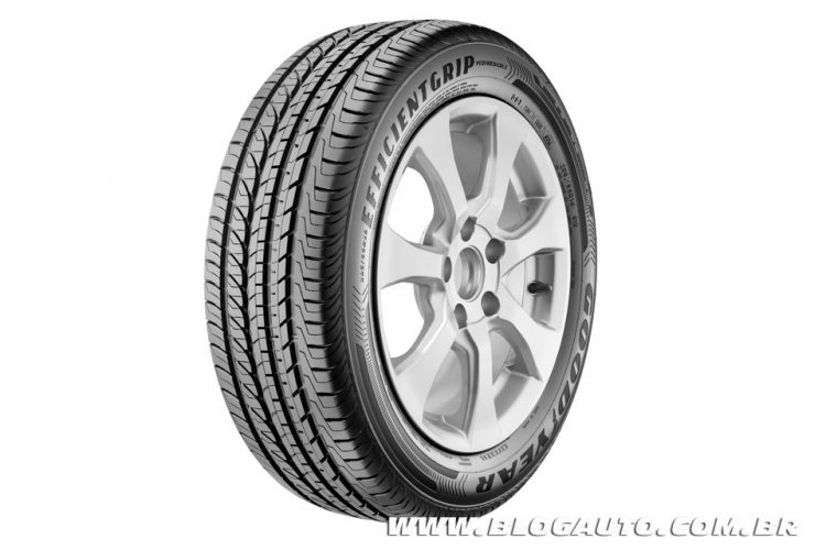 Goodyear EfficientGrip Performance